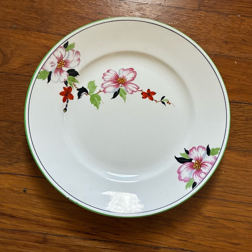 Vtg Rare Homer Laughlin Floral Pattern Plate 1930 Wells sample?